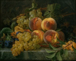 Nature morte
